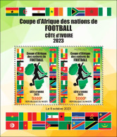 NIGER 2023 - M/S 2V - FOOTBALL AFRICA CUP OF NATIONS COUPE D'AFRIQUE COTE D'IVOIRE - FLAGS ALGERIA ALGERIE - MNH - Copa Africana De Naciones