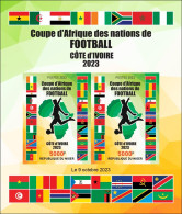 NIGER 2023 - IMPERF M/S 2V - FOOTBALL AFRICA CUP OF NATIONS COUPE D'AFRIQUE COTE D'IVOIRE - FLAGS ALGERIA ALGERIE - MNH - Fußball-Afrikameisterschaft