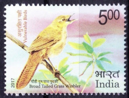 India 2017 Broad-tailed Grassbird - Vulnerable Birds Endangered Animal Species MNH - Climbing Birds