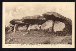 29 BEUZEC CAP SIZIN - Allée Couverte De Kerbannalec - Beuzec-Cap-Sizun