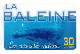 Baleine  Curiosités Marine- PF 154 -Télécarte Puce  Polynésie Tahiti Phonecard  (R 841) - Polinesia Francesa
