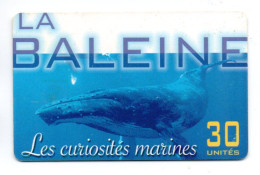 Baleine  Curiosités Marine- PF 154 -Télécarte Puce  Polynésie Tahiti Phonecard  (R 841) - Frans-Polynesië