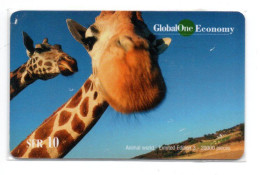 Girafe Giraffe  Animal  Carte Prépayée Suisse - Card Karte (R 843) - Suisse