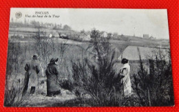 MONT DE L'ENCLUS  -  KLUISBERG -  Vue Du Haut De La Tour  -  1923 - Mont-de-l'Enclus