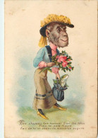 Thèmes Div -ref-UU640- Singes - Monkeys - Singe Humanisé - Le Chapeau - - Singes