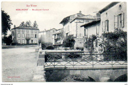 81 - REALMONT - Boulevard Carnot  ( Tarn ) - Realmont