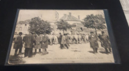 Carte  Postale  LES  HERBIERS    Un Jour De Foire Le Marché Aux  Bœufs - Les Herbiers