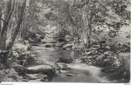 BIEVRE .  Ruisseau Du PETIT-FAYS ..-- 1912 Vers ETTERBEEK ( Mr Léon DETRY ) . Voir Verso . - Bièvre