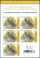 B182/C182**(5172) - Caille Des Blés / Kwartel / Wachtel / Quail / Coturnix Coturnix - BUZIN - RECOMMANDÉ / AANGETEKEND - Hoendervogels & Fazanten