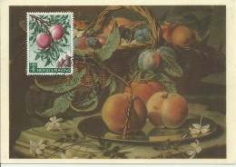 Carte Maximum - San Marino - Fruits - Storia Postale