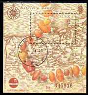 POLAND 1993 POLSKA Philatelic Exhibition; Amber Road Block Used.  Michel Block 121 - Usati