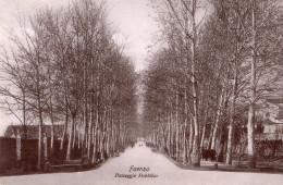 FAENZA - PASSEGGIO PUBBLICO - F.P. - Faenza