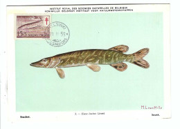 Brochet   20.II 56 - FDC