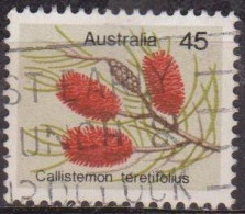 Flore - AUSTRALIE - Fleurs - Callistemon - N° 577 - 1975 - Used Stamps