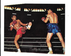 EJ24 - IMAGE ARTIS SERIE SIAM - BOXE THAI - Martial Arts