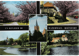 Un Bonjour De Watermael-Boitsfort - Watermaal-Bosvoorde - Watermael-Boitsfort