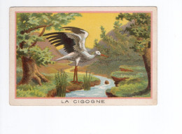 Chromo Oiseau La Cigogne Didactique Au Dos 105 X 70 Mm TB 2 Scans - Other & Unclassified