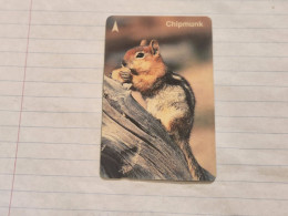 SINGAPORE-(1SANA)-Chipmunk-(162)(1SANA-244034)($10)(tirage-244.500)-used Card+1card Prepiad Free - Singapore