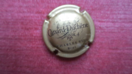 CAPSULE CHAMPAGNE CANARD DUCHENE. CHARLES VII. Or Et Noir - Canard Duchêne