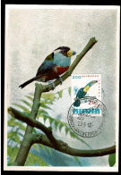 1962 1219 MC (Antwerpen ) : Oiseaux Toucan - 1991-2000