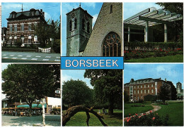 Borsbeek Multivue - Borsbeek