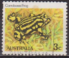 Grenouille, Batraciens - AUSTRALIE - Faune - N° 767 - 1982 - Used Stamps