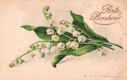 Catharina KLEIN - Cpa Illustrateur - Muguet - Porte Bonheur - Fleur Flower - Klein, Catharina