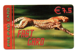 Panthère Félin Animal Carte Prépayée Belgique Fast Card ( R 865) - [2] Tarjetas Móviles, Recargos & Prepagadas