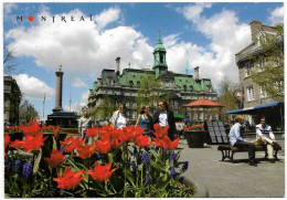 CANADA QUEBEC MONTREAL - Place Jacques Cartier - Montreal