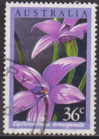 Fleurs, Orchidées - AUSTRALIE - Flore - N° 973 - 1986 - Used Stamps