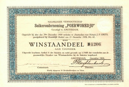 Suikeronderneming "Poerworedjo" N.V. - WinstAandeel - Amsterdam, December 1908 Indonesia - Landbouw