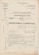 ONF 1909 Eaux Et Forêts Très Beau Plan Document D' Arpentage Forêt D'Essert Canton De Coudret 67 Belfort - Altri Disegni