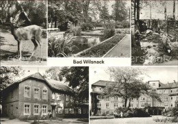 41610097 Bad Wilsnack Tierpark Parkanlagen Haus Birkengrund Goethehaus Bad Wilsn - Bad Wilsnack
