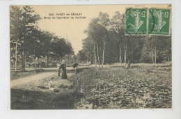 SÉNART - Forêt De Sénart - Mare Du Carrefour Du Cormier - Sénart