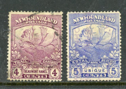 Newfoundland USED 1919 Trail Of The Caribou Issue - 1865-1902