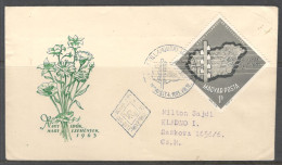 Hungary. FDC Sc. 1505.   Completion Of The Electrification Of Hungarian Villages.  FDC Cancellation On Cached FDC Envelo - FDC