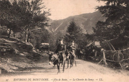 Le Mont Dore - Environs - Fin De Route - Le Chemin Du Sancy - âne - Le Mont Dore