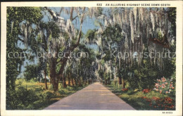 11694273 Summerville_South_Carolina Alluring Highway Scene Down South - Other & Unclassified