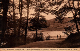 Le Pouldu - Environs - Belle Promenade En Forêt De Carnoët Et En Bordure De La Laïta - Route Chemin - Le Pouldu