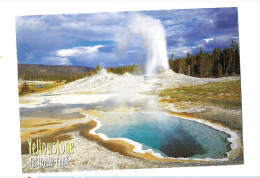 Yellowstone National Park.Upper Geyser Bassin.Expédié à Blankenberge (Belgique). - Other & Unclassified