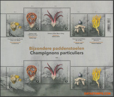 België 2020 - OBP:F 4962/4966, Sheet - XX - Mushrooms - Unclassified