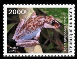 NIGER 2023 - STAMP 2000F - TOXIC SPECIES - FROGS FROG GRENOUILLE GRENOUILLES - MNH - Grenouilles