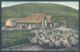 UK  I. O. M. SNAEFELL From The Bungalow - Insel Man