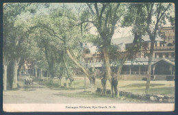 USA NH Farragut Willows RYE BEACH N. H. - Andere & Zonder Classificatie
