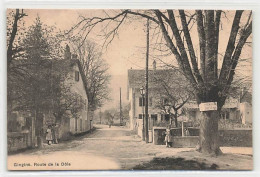 Gingins Route De La Dôle 1911 - Gingins