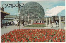 Expo 67 - Pavillon De Etats-Unis / Pavilion Of The United States - Ile Sainte Hélène - Montréal  - (Quebec, Canada) - Montreal