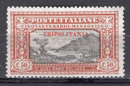 Z3807 - COLONIE ITALIANE TRIPOLITANIA SASSONE N°14 * - Tripolitania