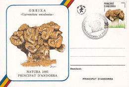 MAXIMA 1985 - Storia Postale