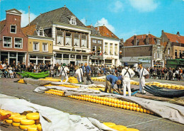 Alkmaar - Marché Au Fromage - Alkmaar