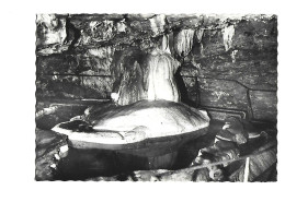 Grottes De La Balme, Merveille Du Dauphiné (38, Isère) La Grande Fontaine - Photo Streiff - Stalagtite - La Balme-les-Grottes
